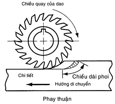 phay thuận