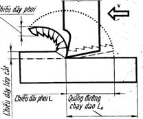 Sự co rút của phoi